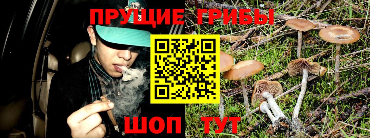 Аксай  цены наркотик  Псилоцибиновые грибы Psilocybine cubensis  Вход с VPN  Галлюциногенные грибы Psilocybe 